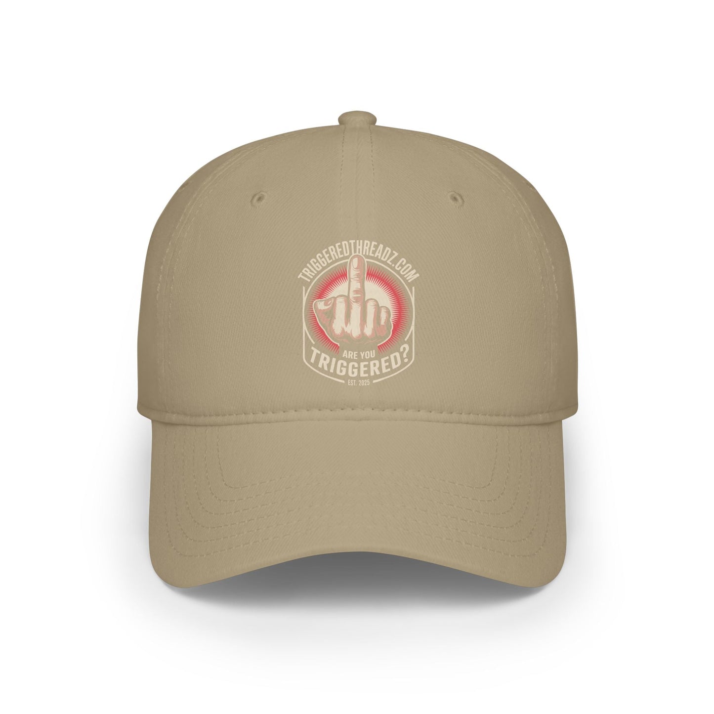 Are You Triggered? Low Profile Baseball Hat