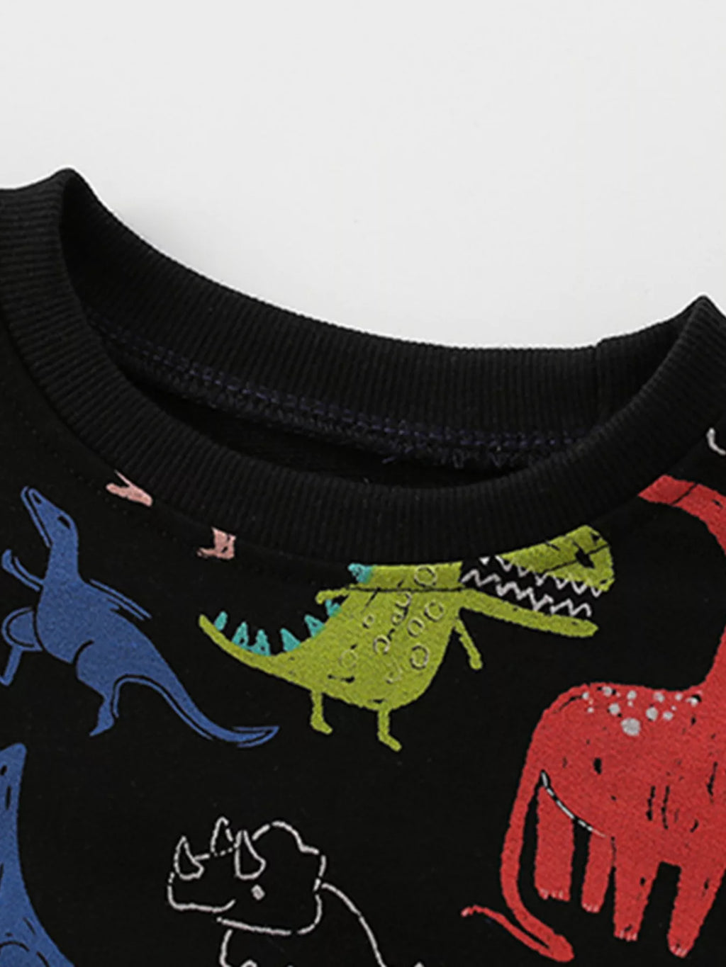 Boys and Toddler Boys Dinosaur Print Crew Neck Sweatshirt