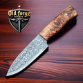 Custom Handmade Damascus Steel Knifes – Skinner Hunting EDC Knife with Wood Handle