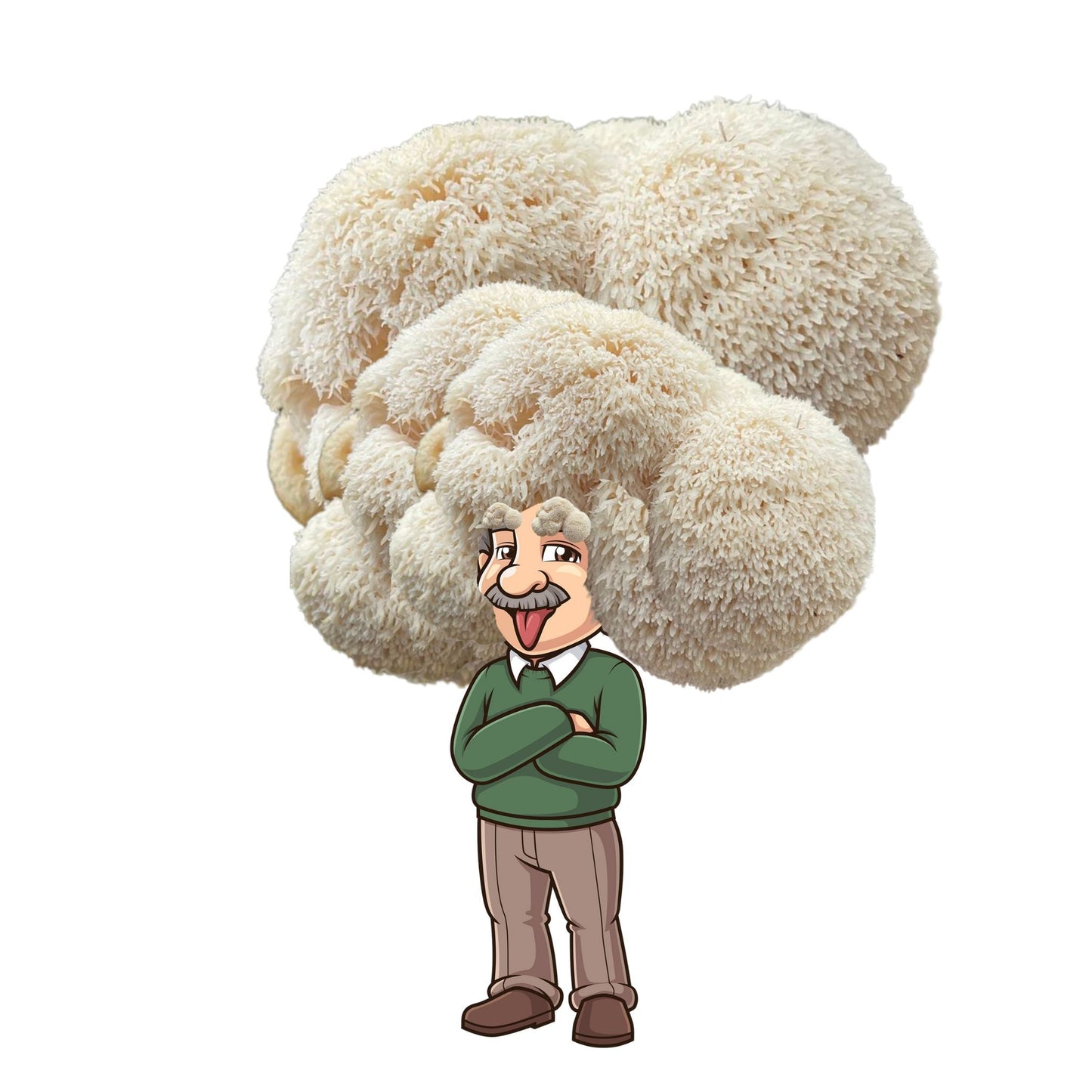 Albert Fungeinstein - Lion's Mane Mushroom Grow Kit - 6.5 LBS