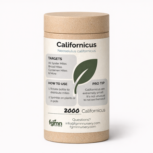 Neoseiulus californicus