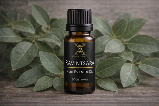 Ravintsara Essential Oil