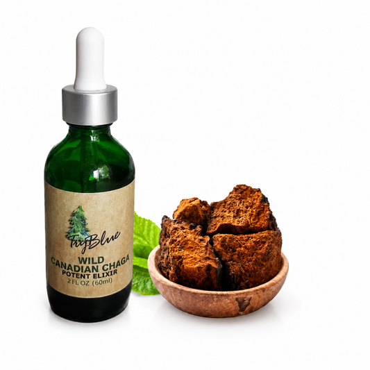 Wild Canadian Chaga Elixir