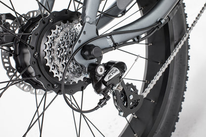 Cheetah OG Cafe' Racer Ebike