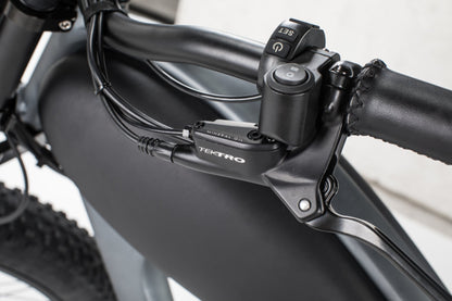 Cheetah OG Cafe' Racer Ebike