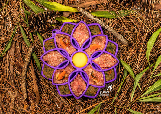 Raw Duck PMR Meal Blend for Cats & Dogs — Free-Range Pekin Duck | Raw Instincts Florida