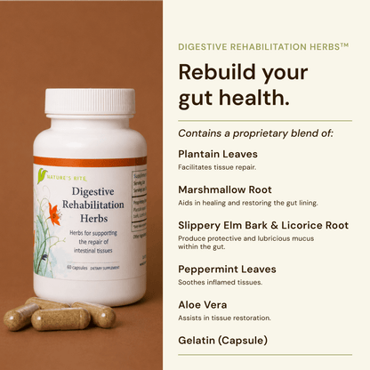 Digestive Rehabilitation Herbs