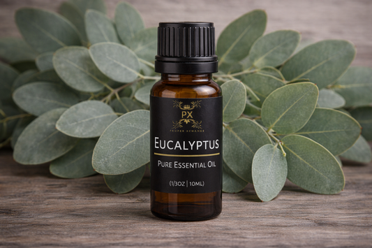 Eucalyptus Globulus Essential Oil
