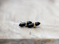 Crest Studs - Obsidian
