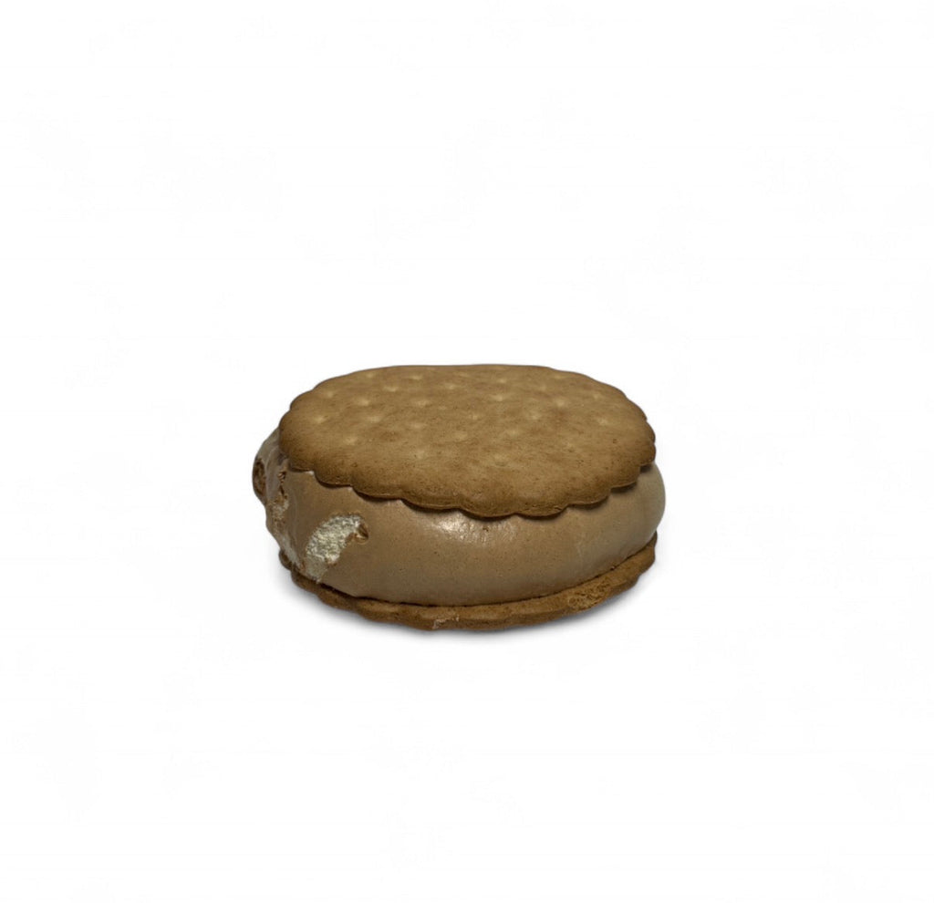 *LIMITED EDITION* Smore'z Space Sandwich