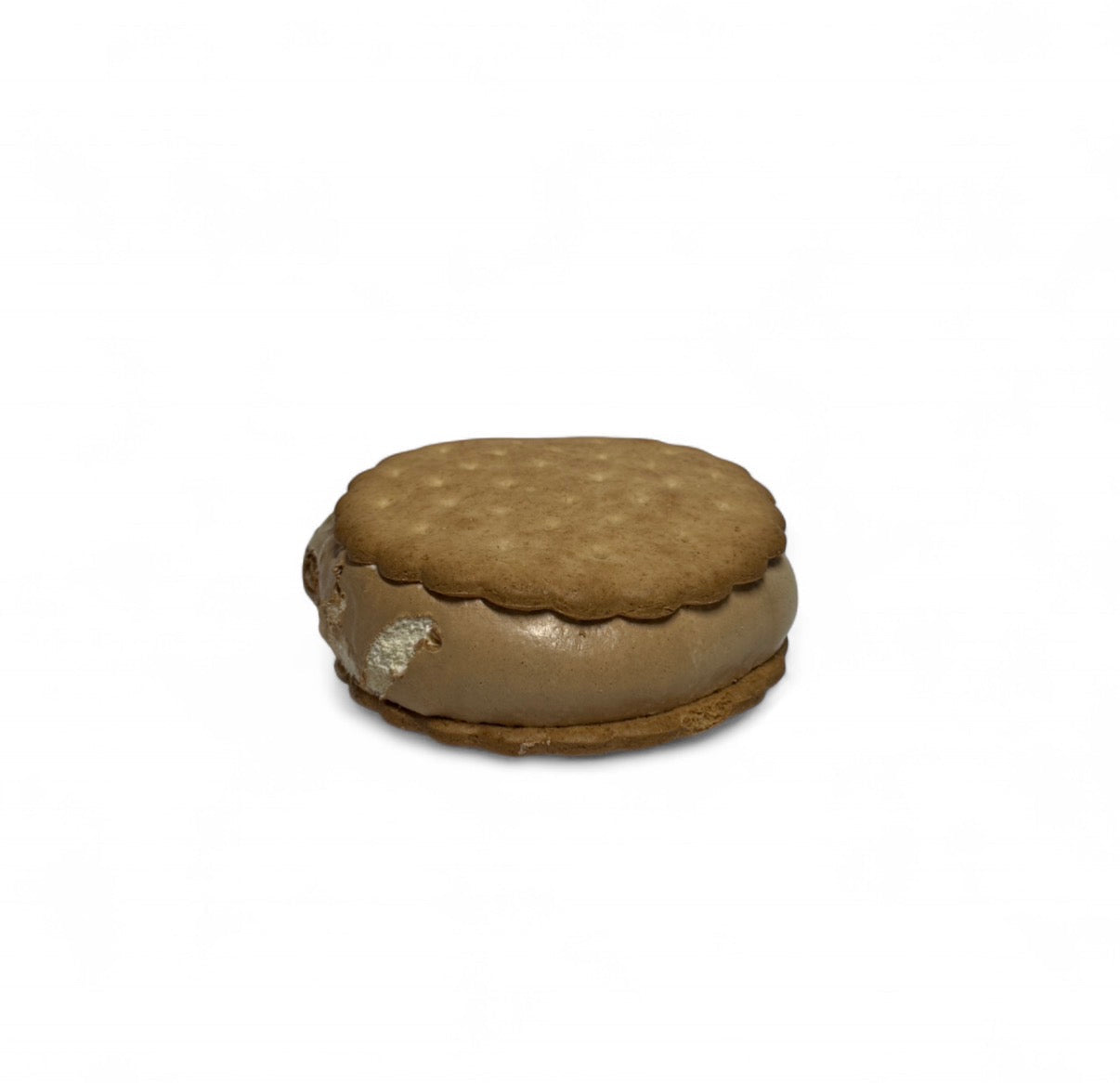 *LIMITED EDITION* Smore'z Space Sandwich