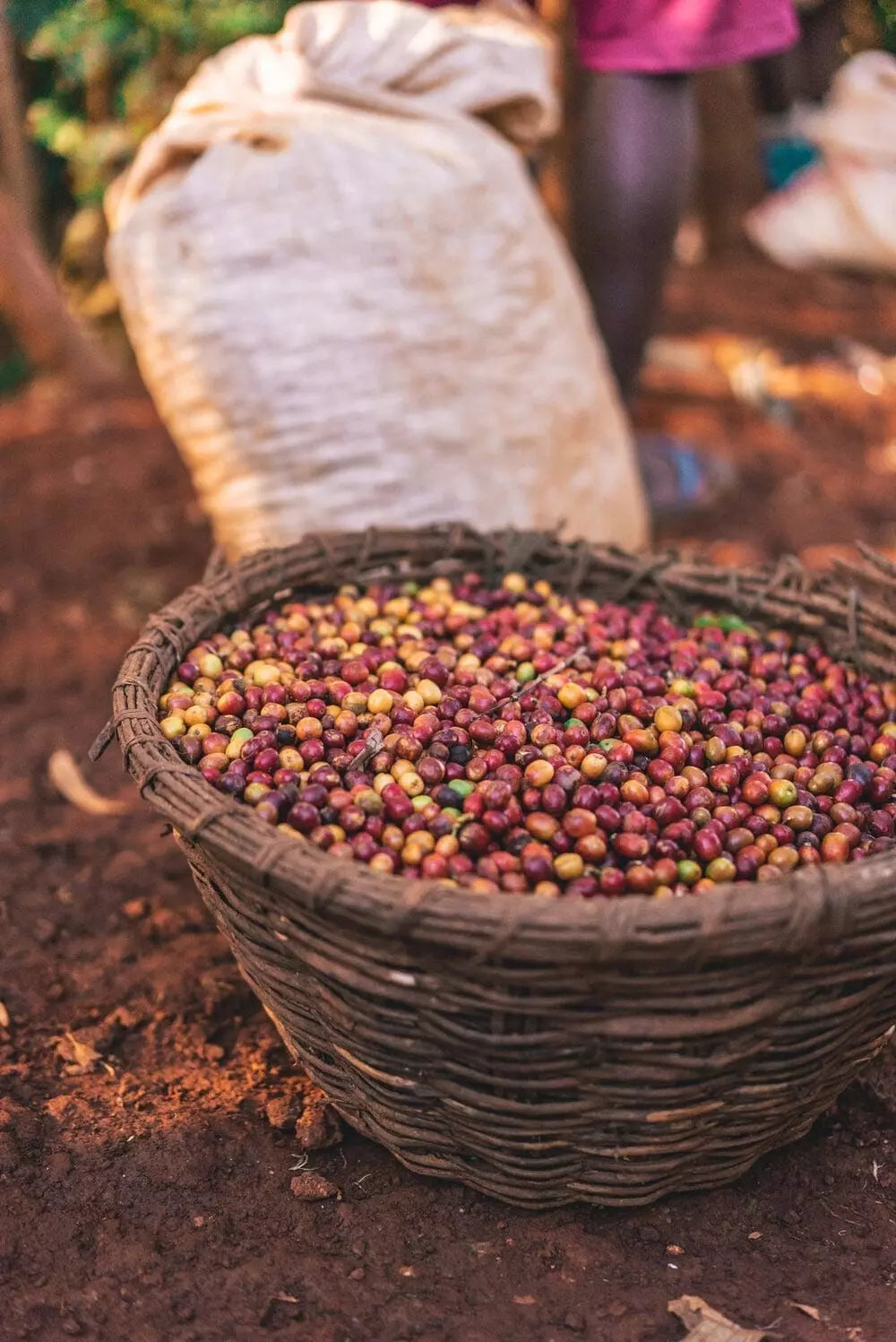 Rwanda | Nyamasheke