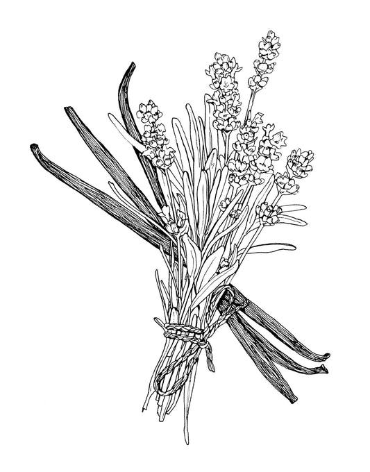 Lavender Vanilla Deodorant
