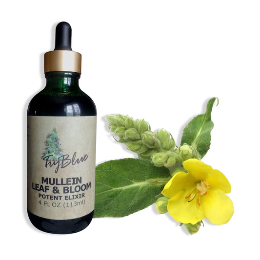 Mullein Leaf & Bloom Elixir