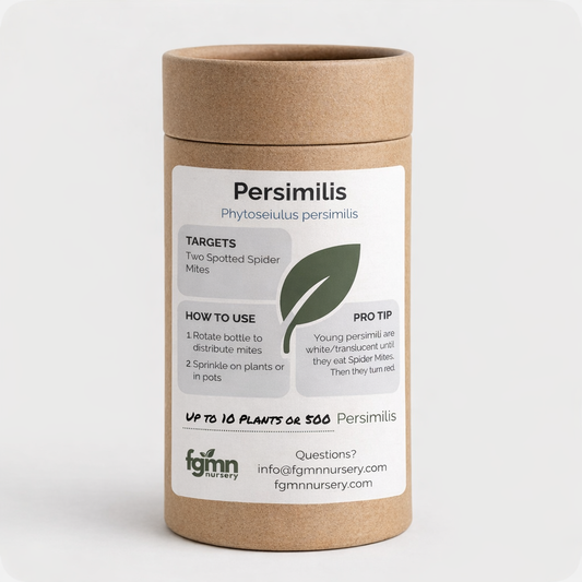 Phytoseiulus persimilis