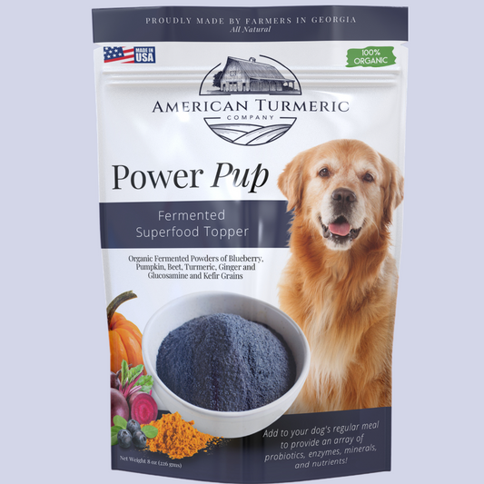 Power Pup Fermented Turmeric Powder for Dogs – Lead-Free, Superfood Meal Topper