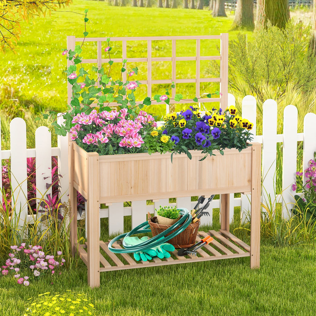outdoor patio garden