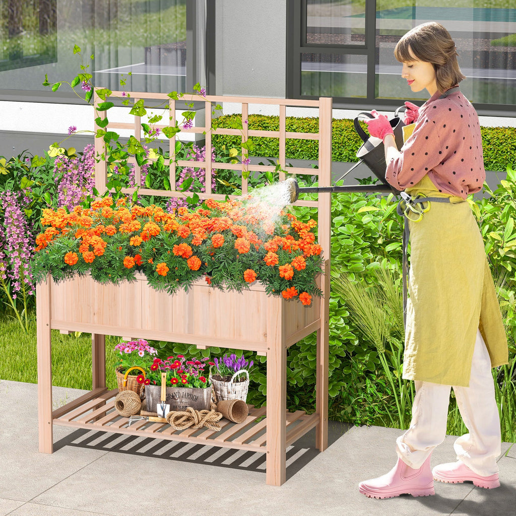 outdoor patio garden