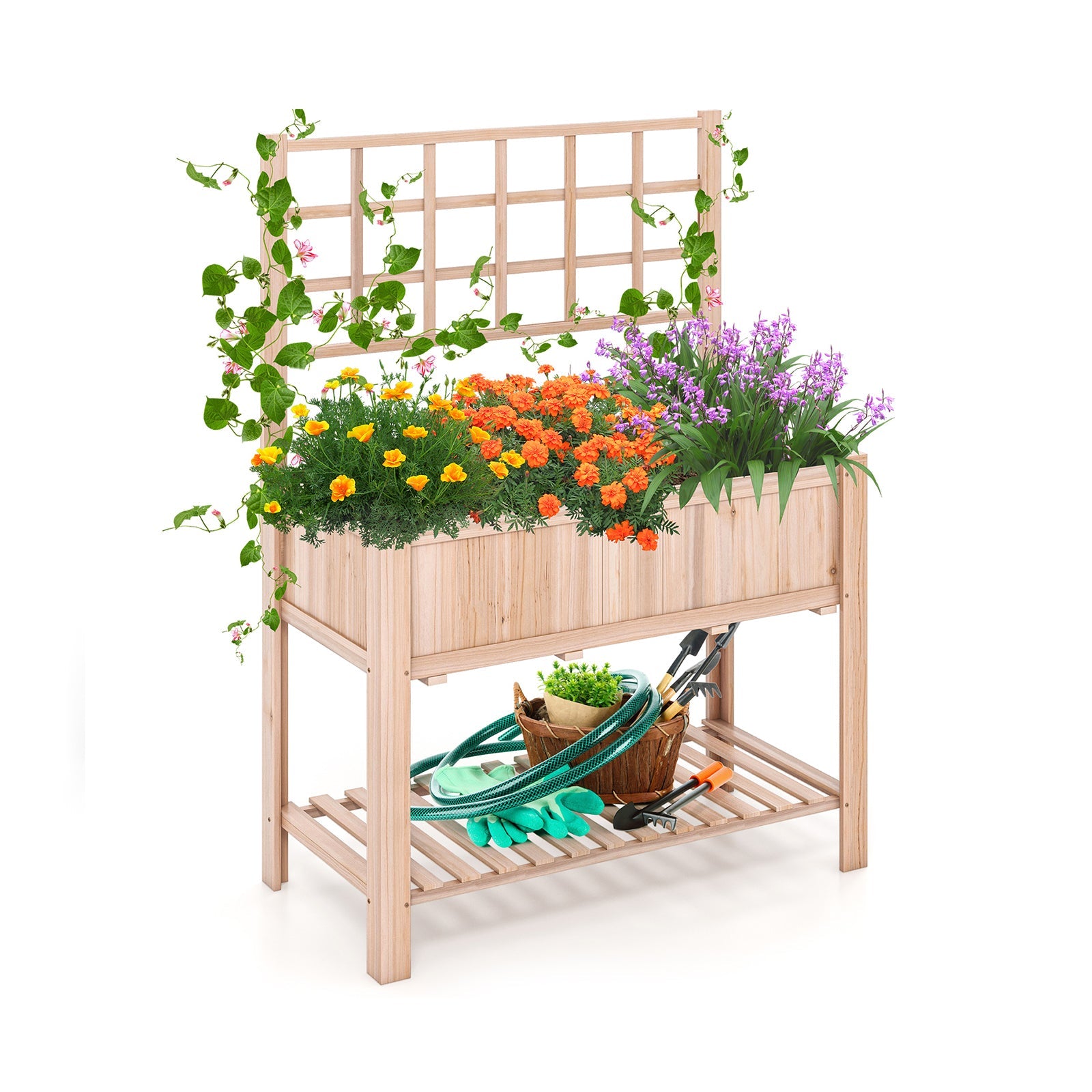 outdoor patio garden