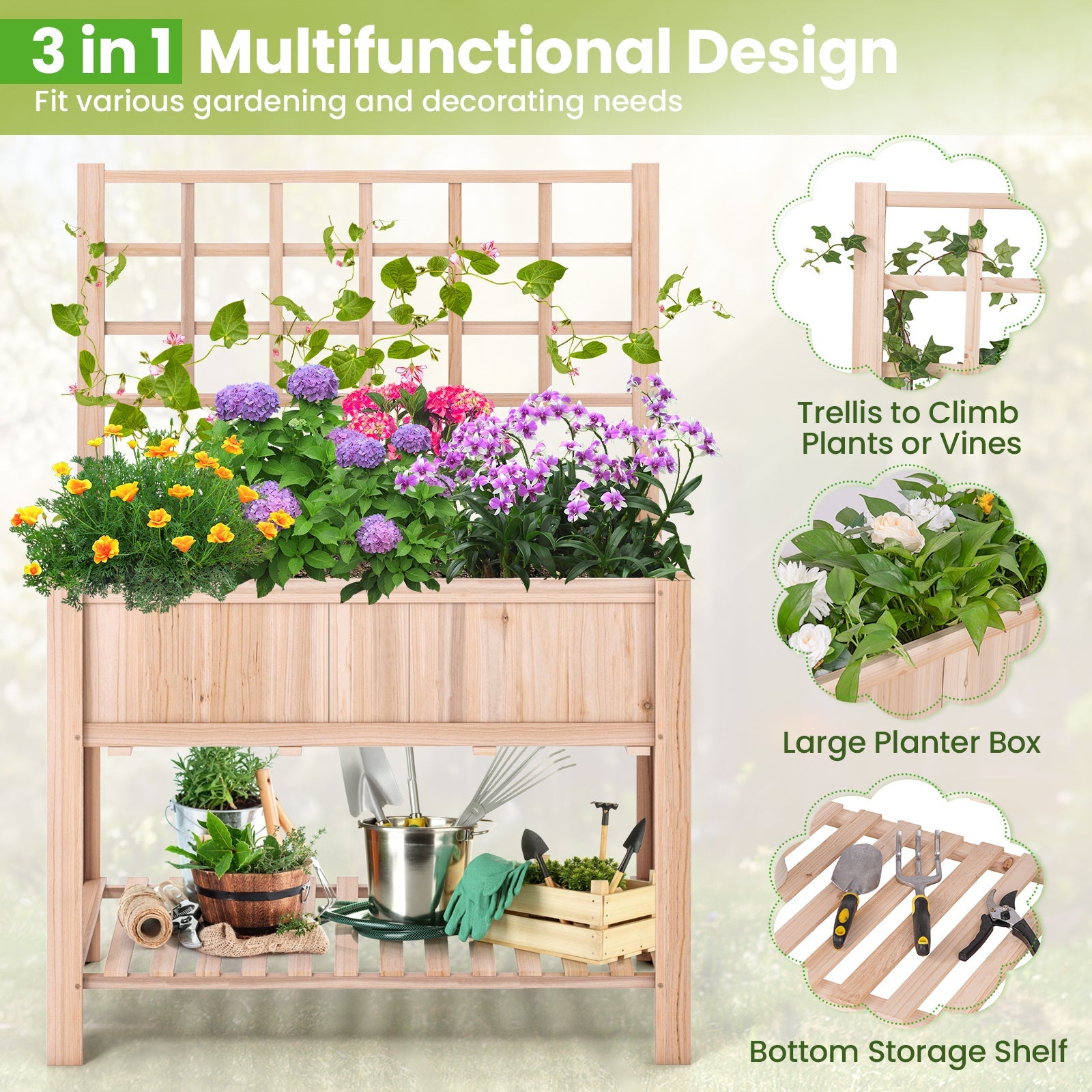 outdoor patio garden