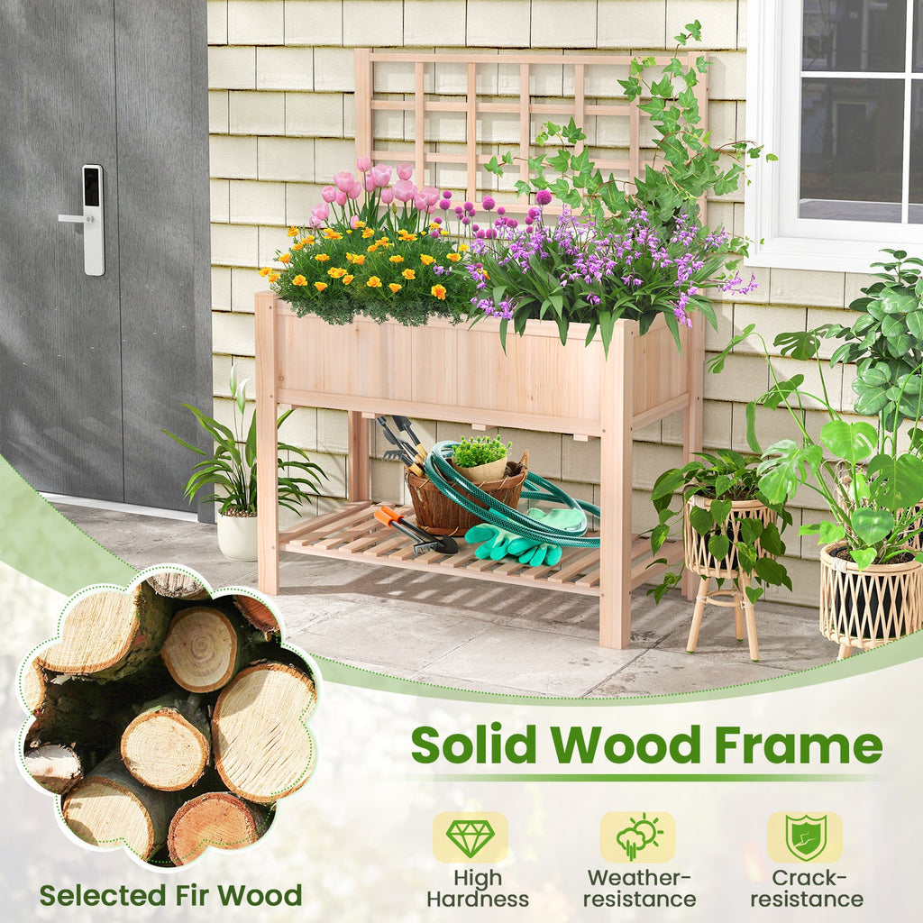 outdoor patio garden