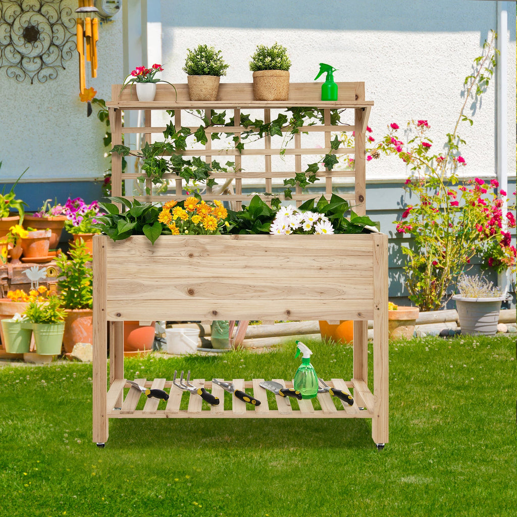 outdoor patio garden