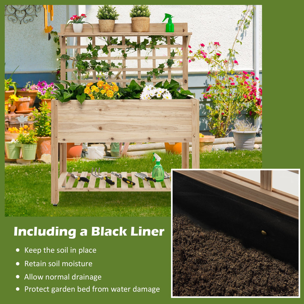outdoor patio garden