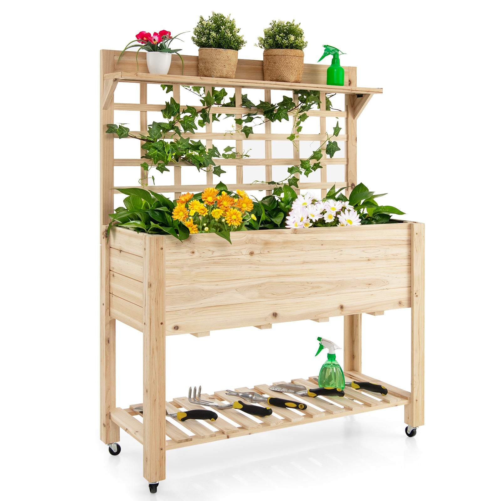 outdoor patio garden