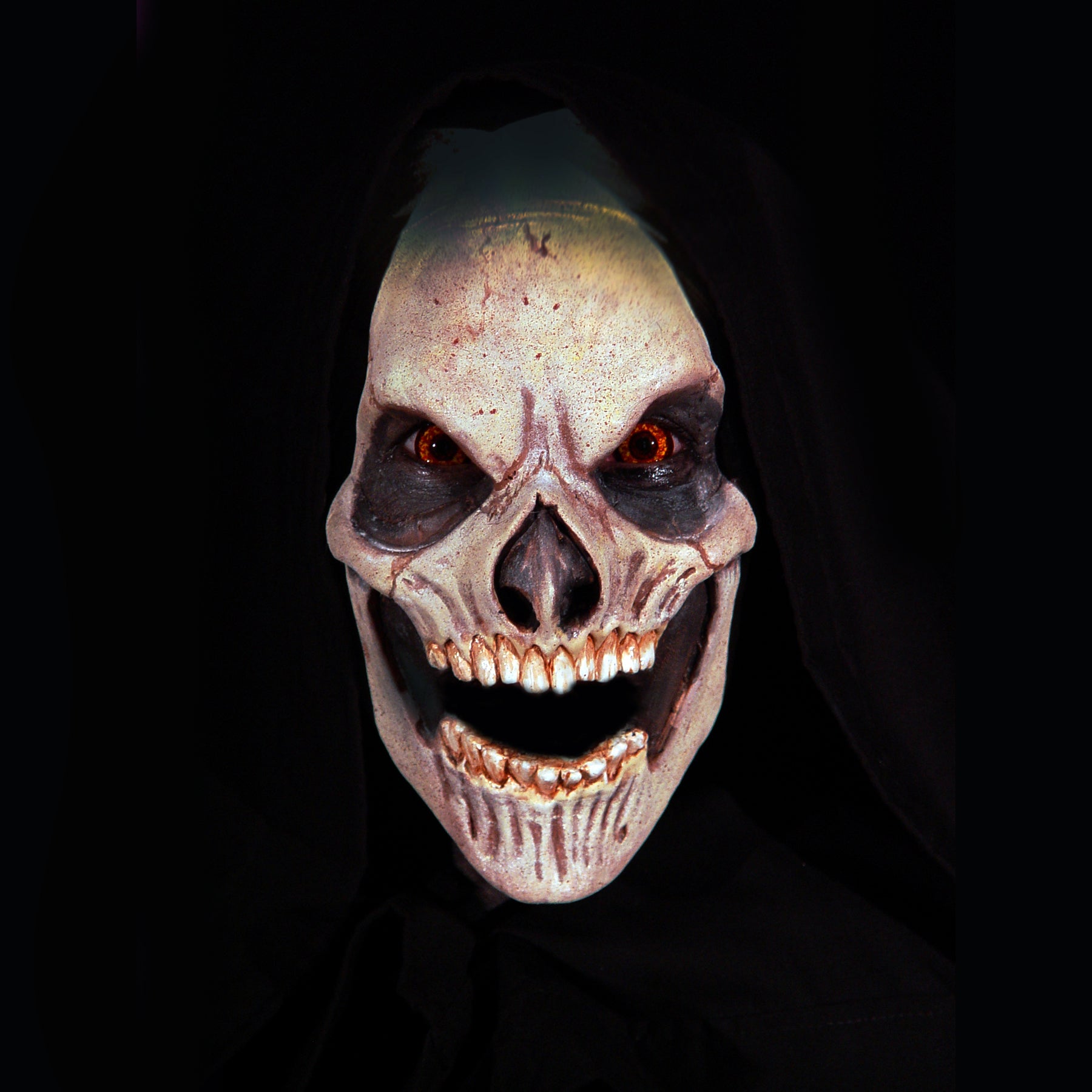 Skull Foam Latex Prosthetic