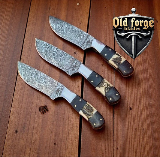 Premium Damascus Steel Hunting Knife - 8.75" Fixed Blade with Horn & Bone Handle