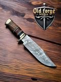 Handmade Damascus Steel Bowie Knife with Exotic Wood & Resin Handle