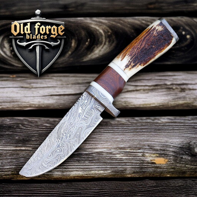 Premium Damascus Deer Hunting Knife with Rosewood Handle