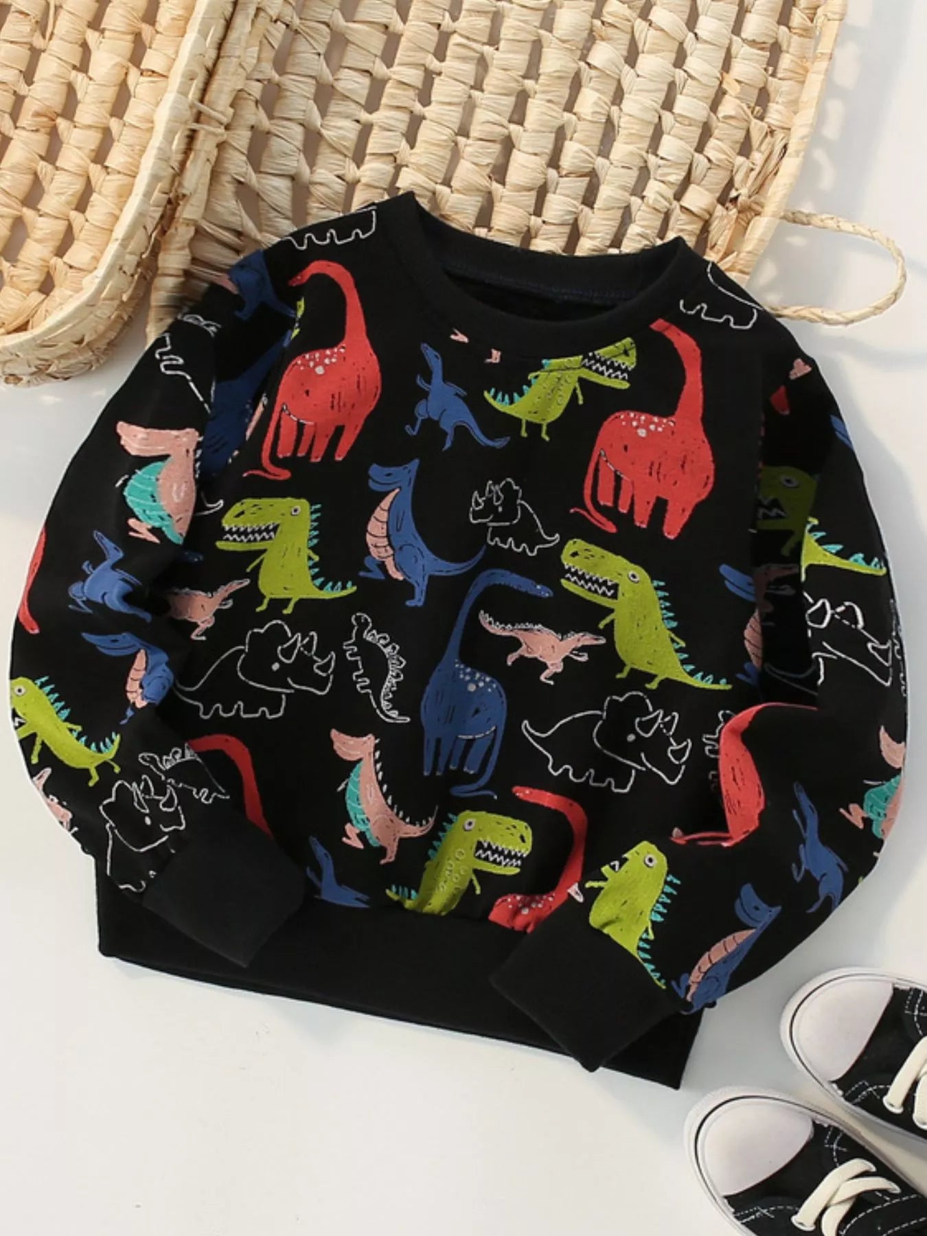 Boys and Toddler Boys Dinosaur Print Crew Neck Sweatshirt