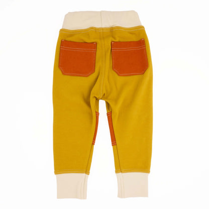 Adult Colorblock Joggers