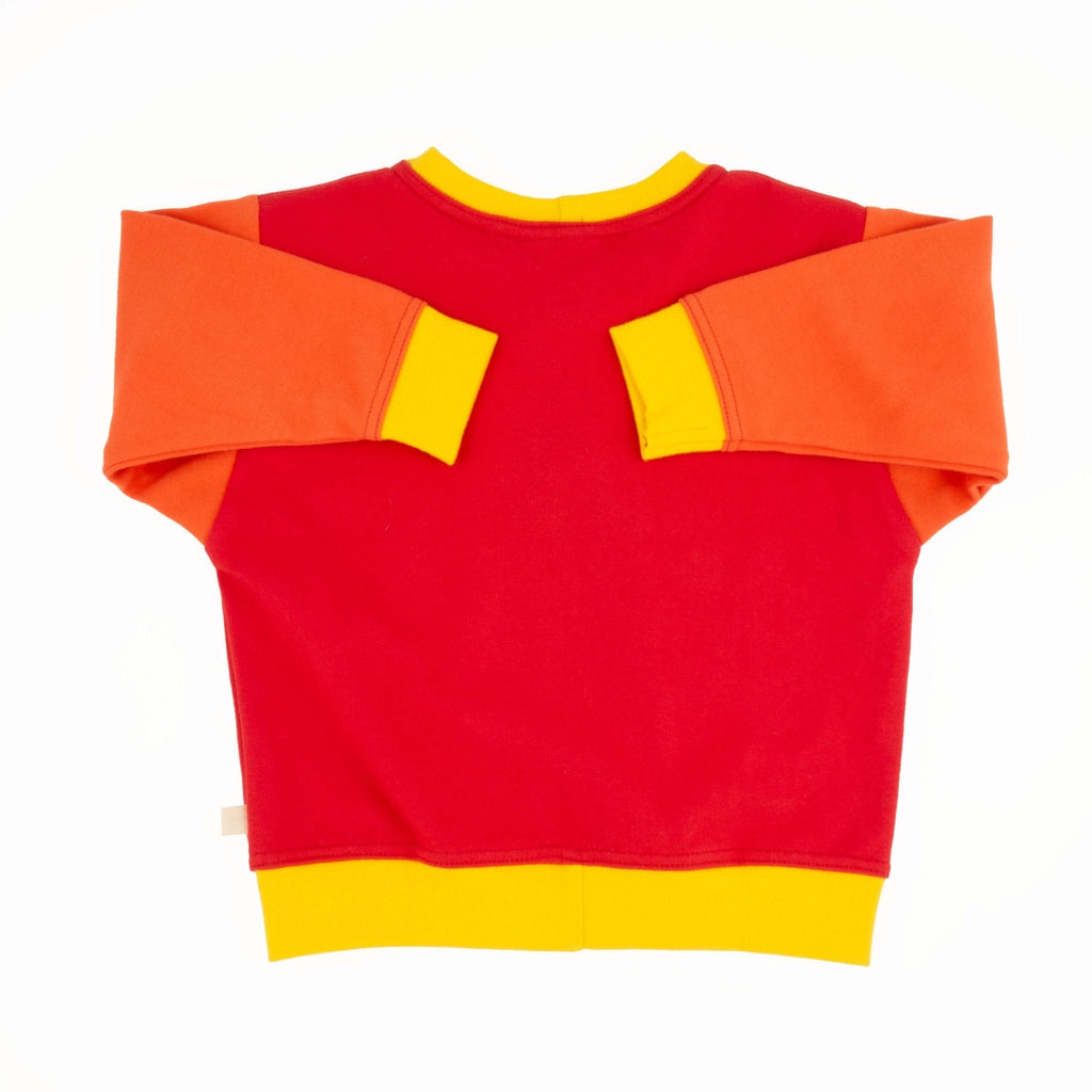 Adult Colorblock Sweatshirt