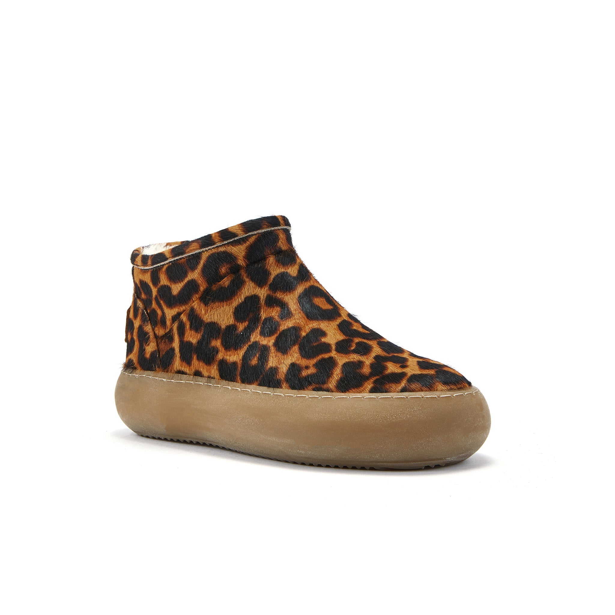 PISCIS LEOPARD