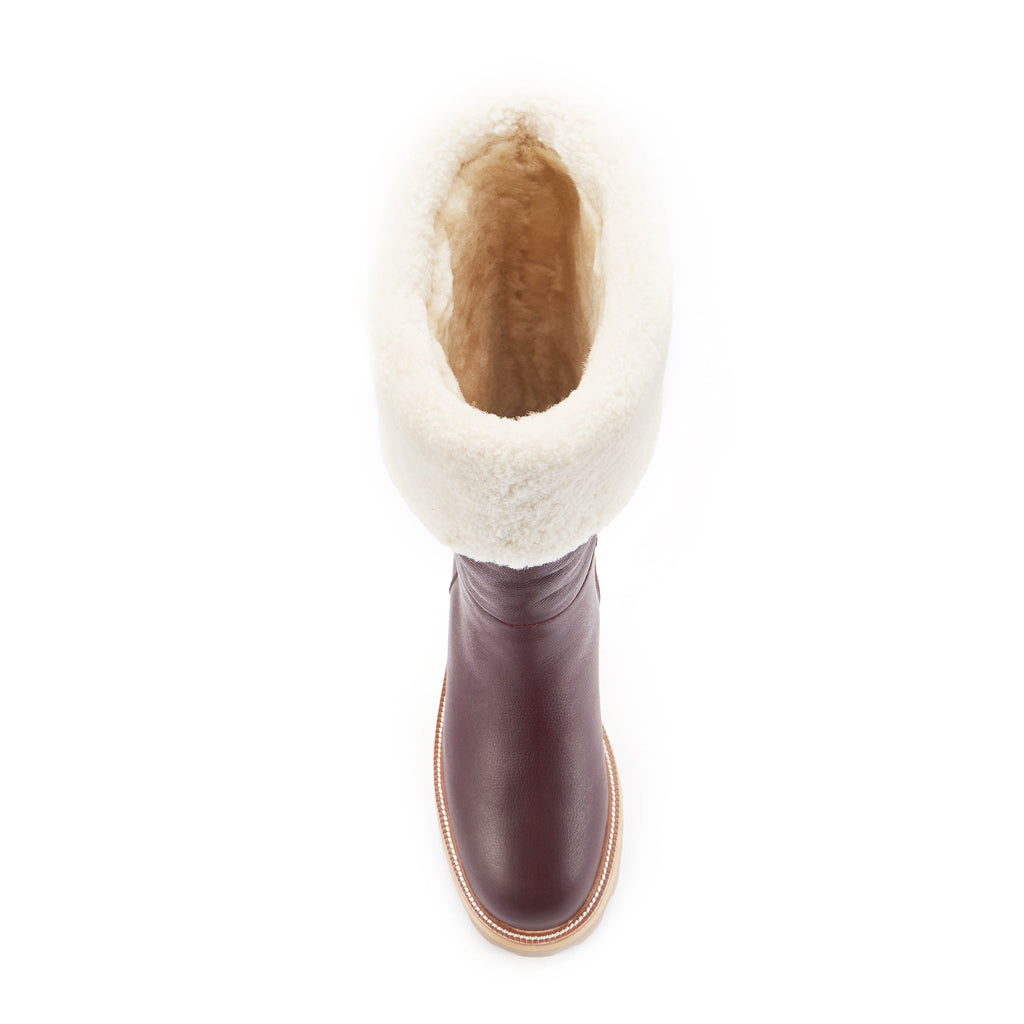 TITAN PLUM