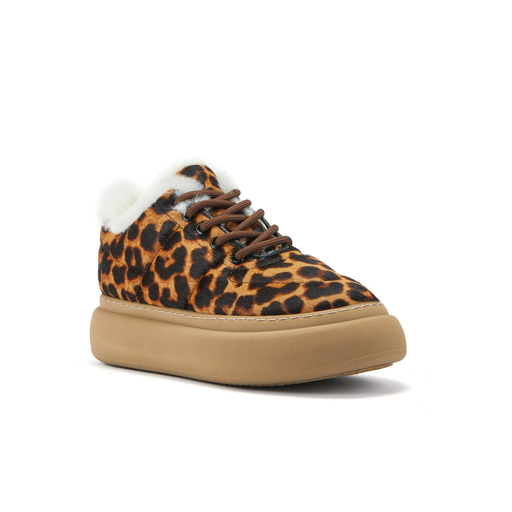 PYXIS LEOPARD