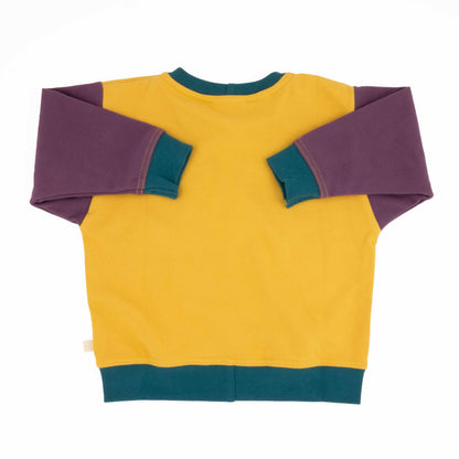 Big Kid Colorblock Sweatshirt