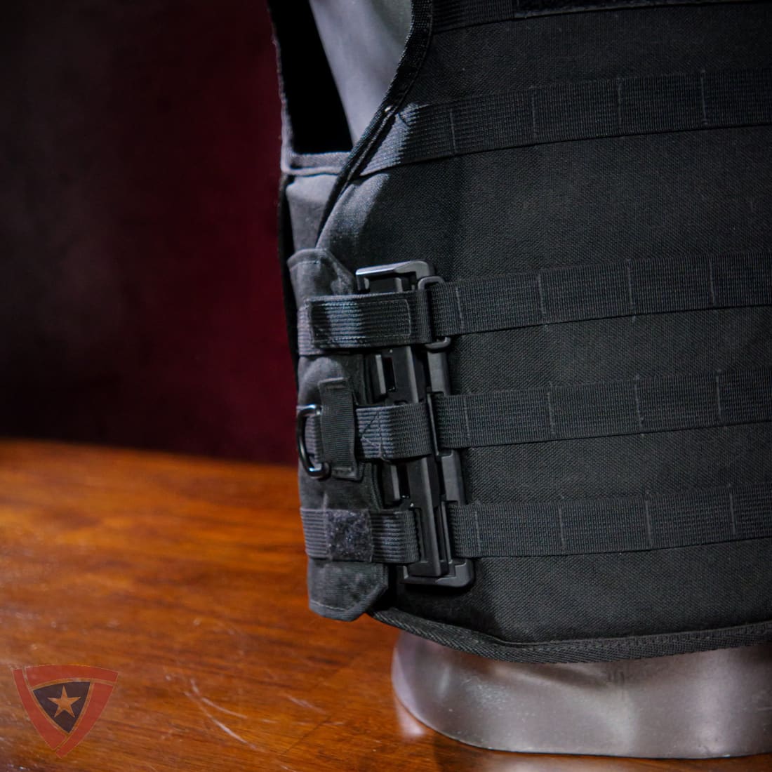 Citizen SHTF Tactical Body Armor and Carrier