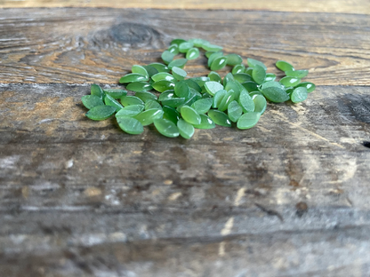 Nephrite Jade Navette Cabochon, Available in 3 sizes - Sold Individually