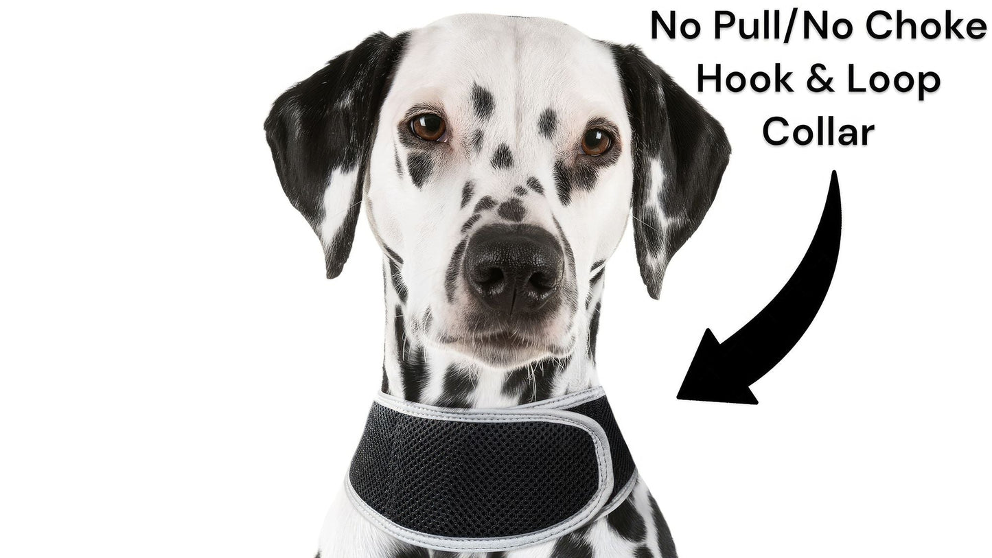 GPS Rechargeable Tracking Device for Pets Realtime Surveillance System Size:XXL
