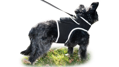 GPS Rechargeable Tracking Device for Pets Realtime Surveillance System Size:XXL