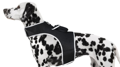 Collar Rechargeable Portable GPS Tracking Devices for Pets GSM Locator Size:XS