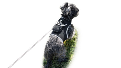 GSM GPS Animal Tracker Collar Attached Rechargeable Realtime Surveillance Gadget Size:XXL
