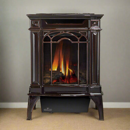 Napoleon Arlington 20 19-Inch Cast Iron Millivolt Ignition Majolica Brown Natural Gas Stove [GDS20NNSB] (SAK43798)