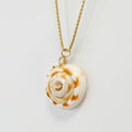 Shell Charms