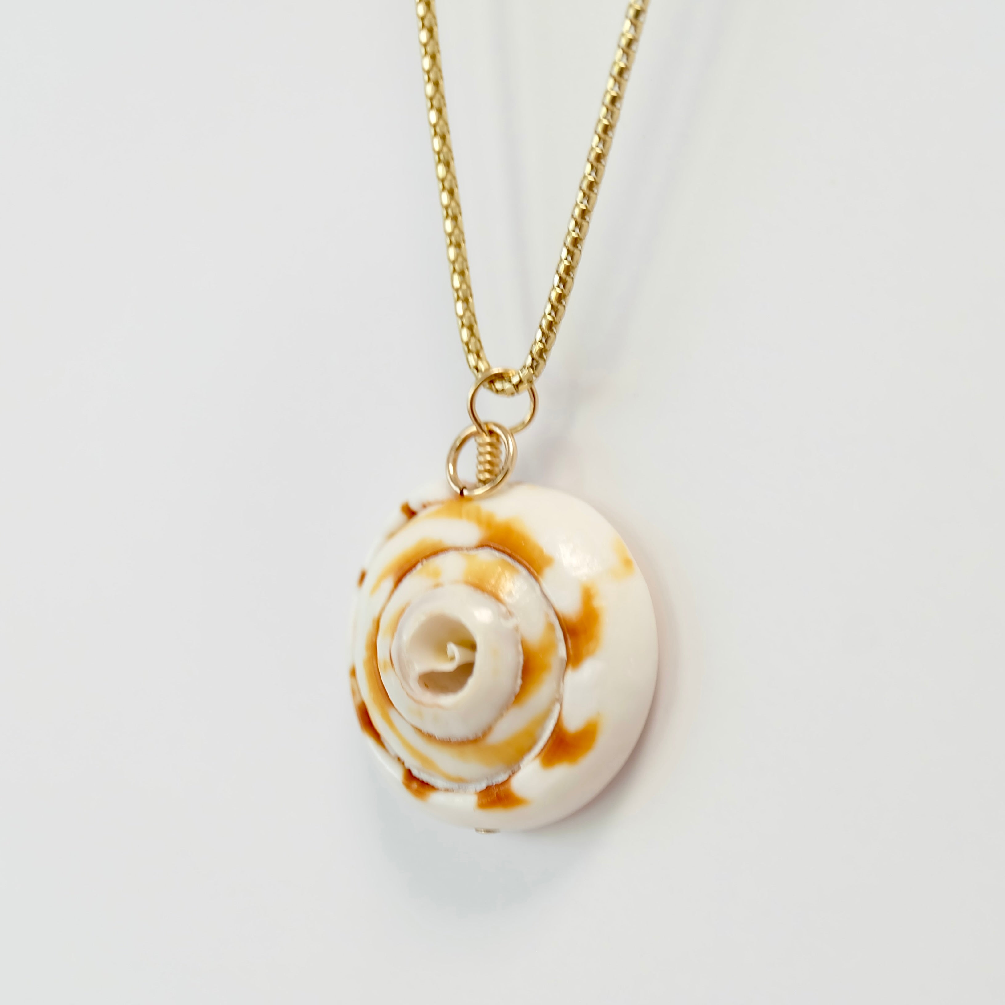 Shell Charms