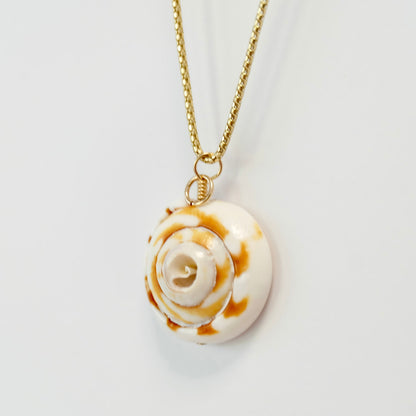 Shell Charms