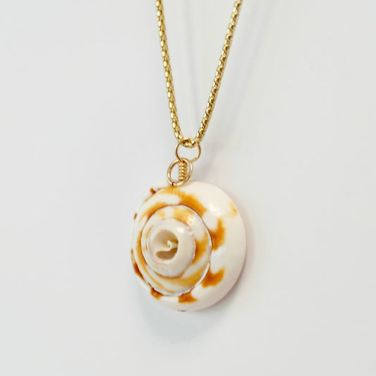 Shell Charms